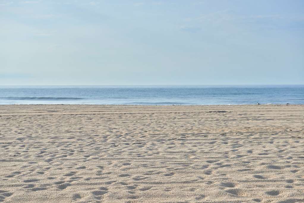 Drifting Sands Oceanfront Hotel Ship Bottom ภายนอก รูปภาพ